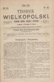 Tygodnik Wielkopolski : czasopismo naukowe, literackie i artystyczne. R.3, nr 42 (18 października 1873)