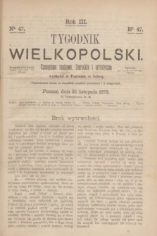 Tygodnik Wielkopolski : czasopismo naukowe, literackie i artystyczne. R.3, nr 47 (22 listpada 1873)
