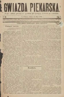 Gwiazda Piekarska : pismo ludowe, poświęcone sprawom politycznym, społecznym i oświecie. 1889, nr 42