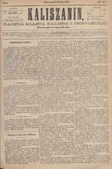 Kaliszanin : gazeta miasta Kalisza i jego okolic. R.6, № 41 (25 maja 1875)
