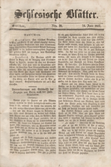 Schlesische Blätter. 1857, Nro. 30 (14 April)