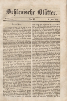 Schlesische Blätter. 1857, Nro. 45 (6 Juni)