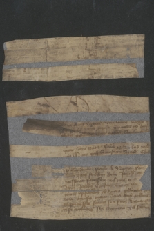 Fragment listu skierowany do duchowieństwa kościoła lub klasztoru poza murami Wrocławia w nieznanej sprawie
