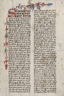 Commentum in librum II Sententiarum Petri Lombardi