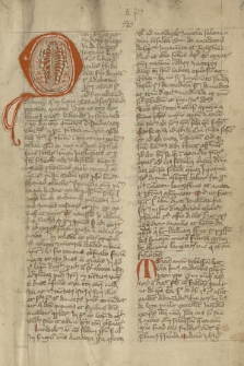 Textus ad medicinam spectantes (i. a. Nicolai Bertucii)