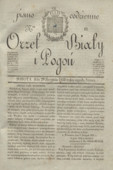 Orzeł Biały i Pogoń: pismo codzienne. 1831, Ner 49 (20 sierpnia)