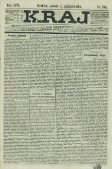Kraj. 1873, nr 234 (11 października)