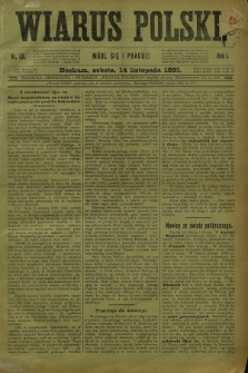 Wiarus Polski. R.1, nr 131 (14 listopada 1891)