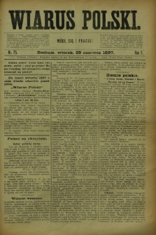 Wiarus Polski. R.7, nr 75 (29 czerwca 1897)