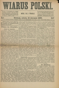 Wiarus Polski. R.9, nr 9 (21 stycznia 1899)