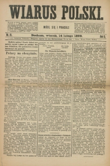 Wiarus Polski. R.9, nr 19 (14 lutego 1899)