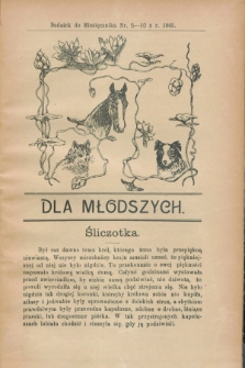 Dla Młodszych : dodatek do Miesięcznika nr 5/10 z r. 1905 (maj-październik)