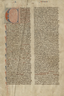 Commentum in librum I Sententiarum Petri Lombardi