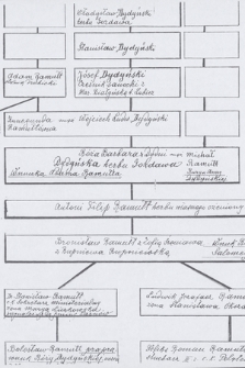 Tablice genealogiczne rodów Lubomlitów-Ogniwów i Ramułtów
