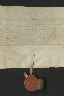 Dokument króla Władysława III dotyczący zapisu Piotrowi z Wapowiec wsi Kuńkowce w okręgu przemyskim