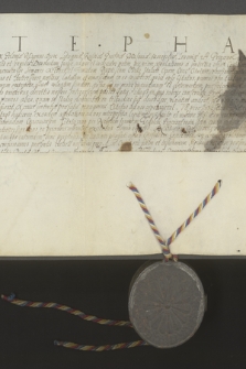 Dokument króla Stefana Batorego zawierający rozstrzygnięcie apelacji od wyroku rady krakowskiej, wniesionej przez Baptystę Czeki przeciwko sukiennikom krakowskim