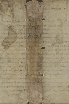 Dokument papieża Klemensa VII dotyczący udzielenia prowizji Wojciechowi Kijowskiemu, kanonikowi warmińskiemu na prebendę w diecezji warmińskiej