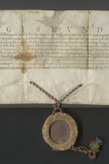 Dokument króla Zygmunta III potwierdzający wszystkie przywileje, prawa i wolności Radziejowa