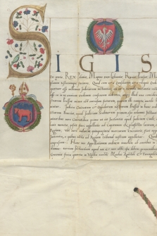 Dokument króla Zygmunta I dokonujący reformy systemu sądowniczego w Prusach