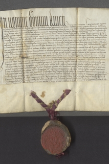 Dokument króla Zygmunta I zawierający nadanie Andrzejowi Kroczowskiemu z Konopnicy wójtostwa w Wieluniu