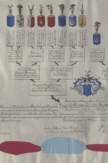 Dokument poświadczający szlachectwo Stanisława Jacka Janoty Bzowskiego z Bzowa i jego rodziny