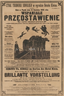 Cyrk Teodora Sidolego w ogrodzie Hotelu Kleina wspaniałe przedstawienie