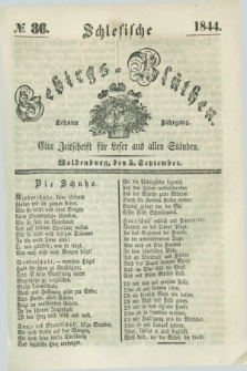 Schlesische Gebirgs-Blüthen : eine Zeitschrift für Leser aus allen Ständen. Jg.10, № 36 (5 September 1844)