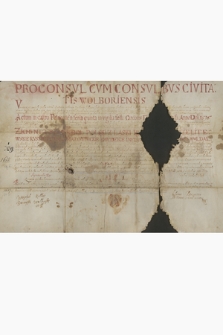Dokument rady miasta Wolborza, potwierdzający zwolnienie miasta od opłat przez przez króla Zygmunta III i jego poprzedników