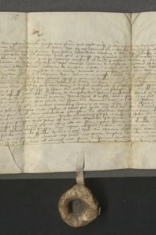 Dokument Jana Čapka z Sán zawierający zrzeczenie się przez niego roszczeń wobec królów polskich do zwrotu pieniędzy i klejnotów zapisanych mu niegdyś przez króla Władysława III