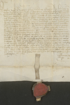 Dokument króla Władysława III dotyczący zapisu Maciejowi Urbanowiczowi z Karnkowa wsi Leśniowice i Wierzbica w okręgu chełmskim
