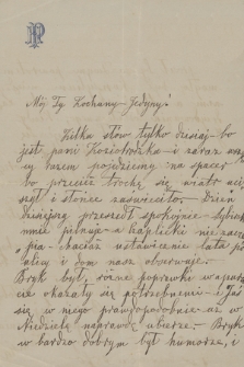 Listy Heleny z Dzieduszyckich Pawlikowskiej. T. 4, Listy do męża, Mieczysława Pawlikowskiego z lat 1870-1877