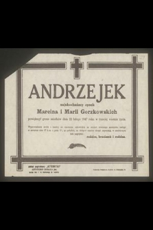 Andrzejek najukochańszy synek Marcina i Marii Gorzkowskich powiększył grono aniołków dnia 22 lutego 1947 r. w trzeciej wiośnie życia [...]