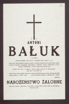 Ś.p. Antoni Bałuk mgr praw [...] żołnierz AK, członek ZBoWiD [...] urodzony 18 V 1915 r., [...] zmarł dnia 1 maja 1989 roku [...]