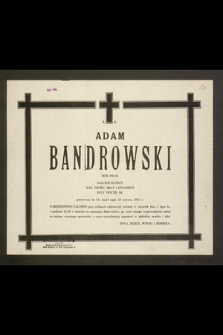 Ś. p. Adam Bandrowski mgr praw [...] były oficer AK [...] zmarł nagle 28 czerwca 1981 r. [...]