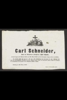 Carl Schneider, Sohn des Verstorbenen Kunstgärtner Jakob Schneider [...] am 29. März 1860 im 25. Lebensjahre selig im Herrn entschlafen [...]