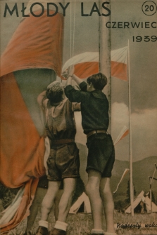 Młody Las. R.2, 1939, [Numer] 20