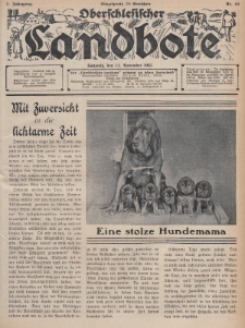 Oberschlesischer Landbote. 1933, nr 45