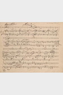 Violinsonate Nr 2 A-dur Op. 100. Satz 1]