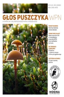 Głos Puszczyka WPN : kwartalnik Wielkopolskiego Parku Narodowego. 2023 nr 4