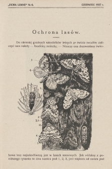 Echa Leśne. 1927, No. 6